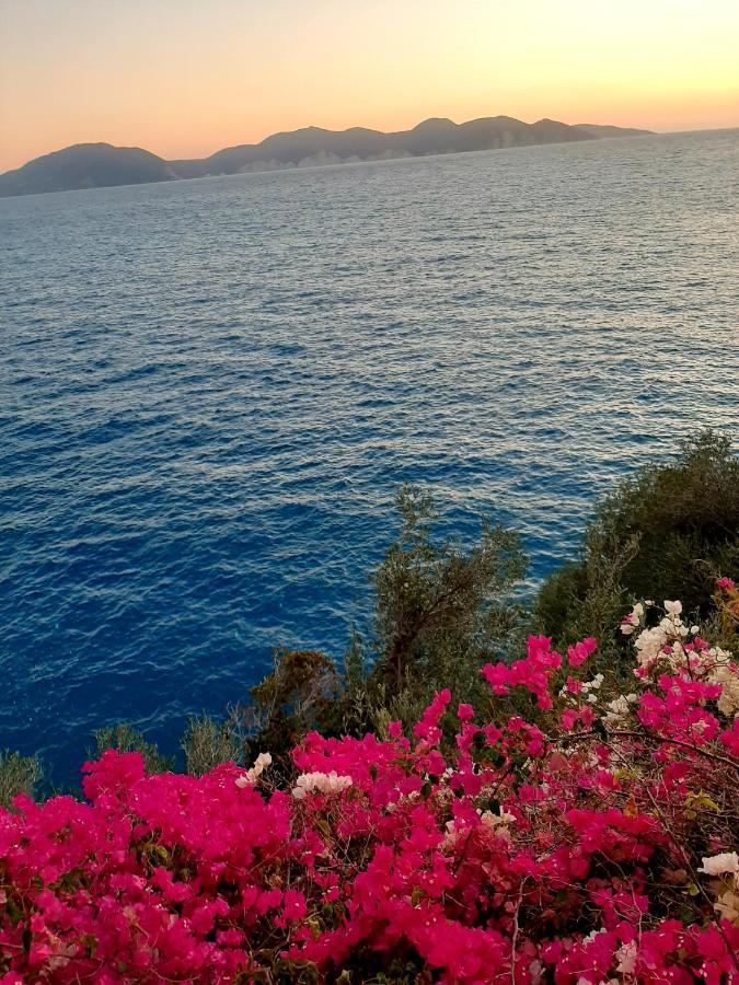 Cavos Inn Apartments Kefalonia Asos Dış mekan fotoğraf