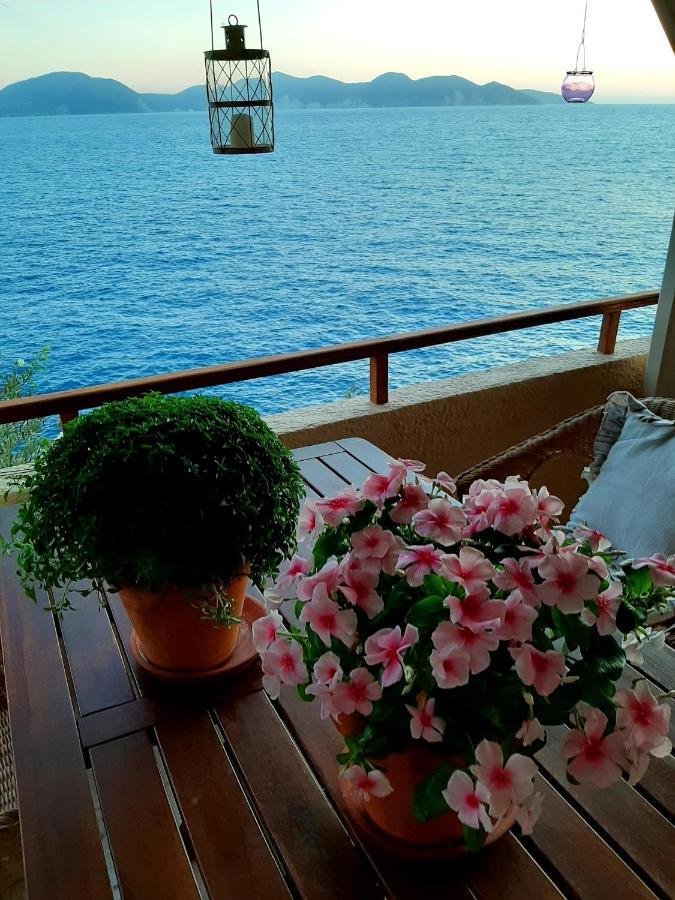 Cavos Inn Apartments Kefalonia Asos Dış mekan fotoğraf